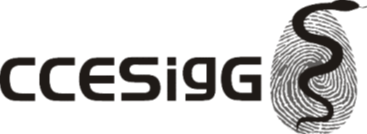 CCESigG Logo
